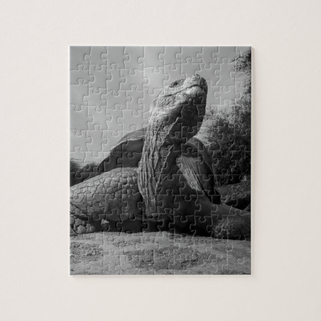 Puzzle Ecuador, Parque Nacional de las Islas Galápagos, S (Vertical)