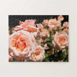 Puzzle EE. UU., Alabama, Theodore Cerca de Mobile 5