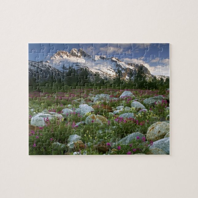 Puzzle EE.UU., Alaska, Alsek-Tatshenshini Wilderness. Ver (Horizontal)