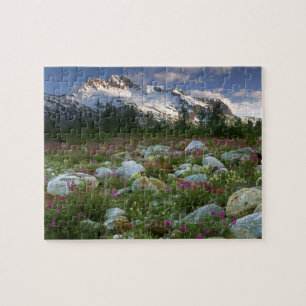 Puzzle EE. UU., Alaska, Alsek-Tatshenshini Wilderness. Vi
