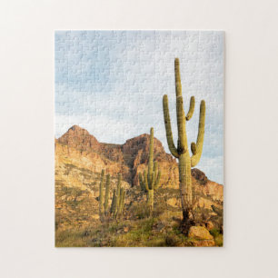 Puzzle EE. UU., Arizona, Bosque Nacional Tonto, Picketpos