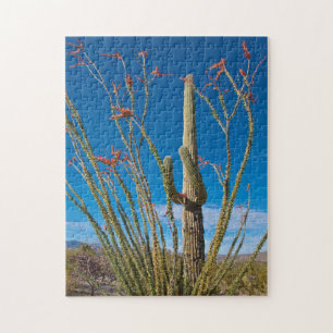 Puzzle EE. UU., Arizona. Cactus en el Parque Nacional Sag