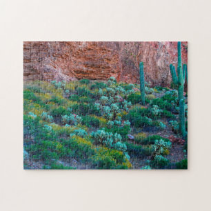 Puzzle EE. UU., Arizona. Flora del desierto