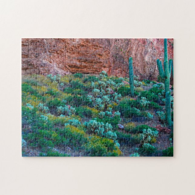 Puzzle EE. UU., Arizona. Flora del desierto (Horizontal)