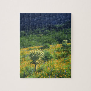 Puzzle EE. UU., Arizona, Parque Nacional del Cactus de Tu