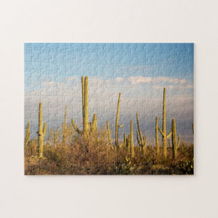 Puzzle EE. UU., Arizona, Parque Nacional Saguaro, Saguaro