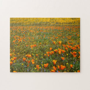Puzzle EE.UU., California, Antelope Valley California