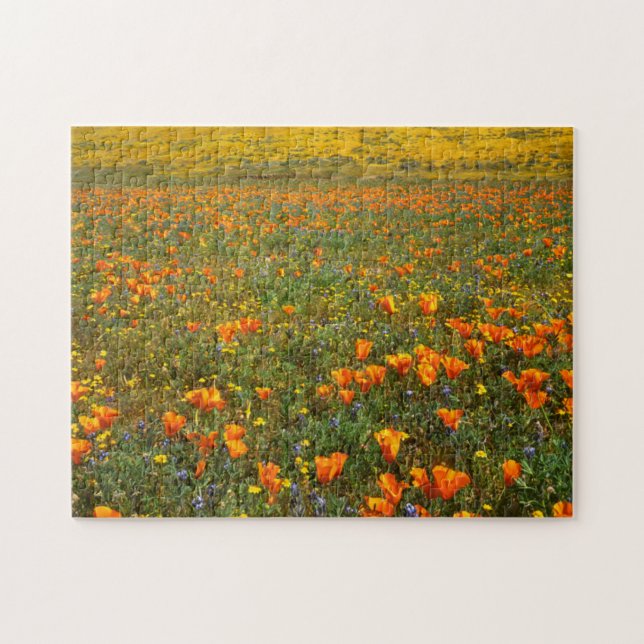 Puzzle EE.UU., California, Antelope Valley California (Horizontal)