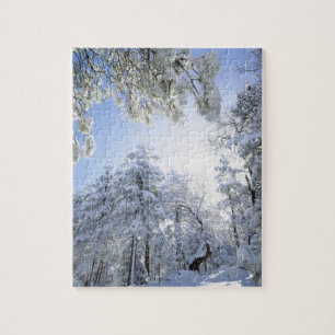 Puzzle EE. UU., California, Bosque Nacional Cleveland,