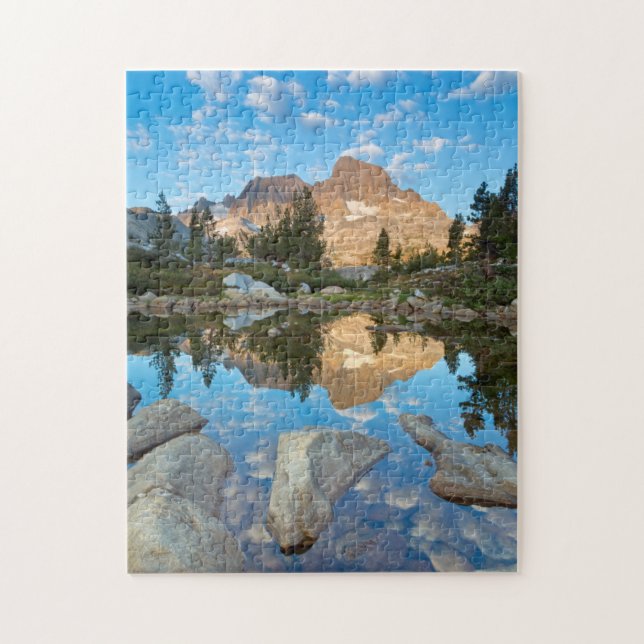 Puzzle EE. UU., California, Bosque Nacional Inyo 5 (Vertical)