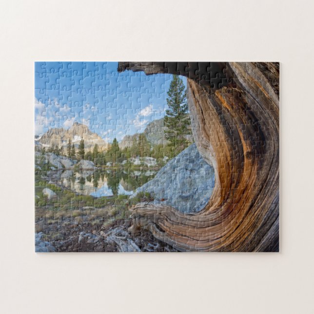 Puzzle EE. UU., California, Bosque Nacional Inyo. Pino Vi (Horizontal)