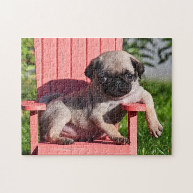 Puzzle EE.UU., California. Cachorro de cachorro picante (Horizontal)