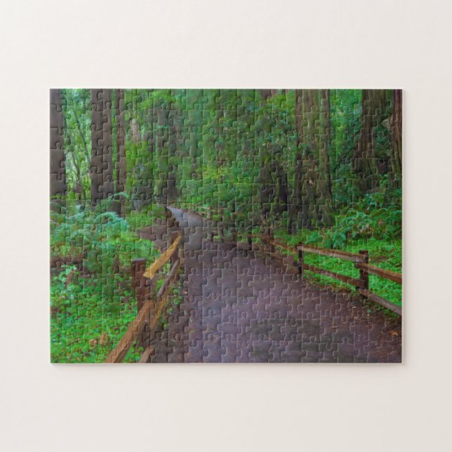 Puzzle EE. UU., California. Camino entre secuoyas (Horizontal)