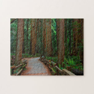 Puzzle EE. UU., California. Camino entre secuoyas en Muir