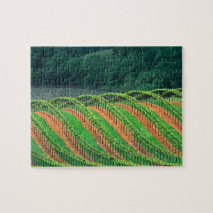 Puzzle EE. UU., California, condado de Mendocino, una esp