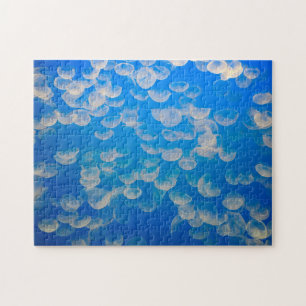 Puzzle EE.UU., California. Jellyfish En La Bahía De Monte