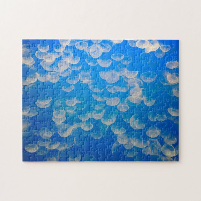 Puzzle EE.UU., California. Jellyfish En La Bahía De Monte (Horizontal)