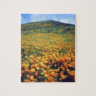 Puzzle EE. UU., California, Lago Elsinore. California