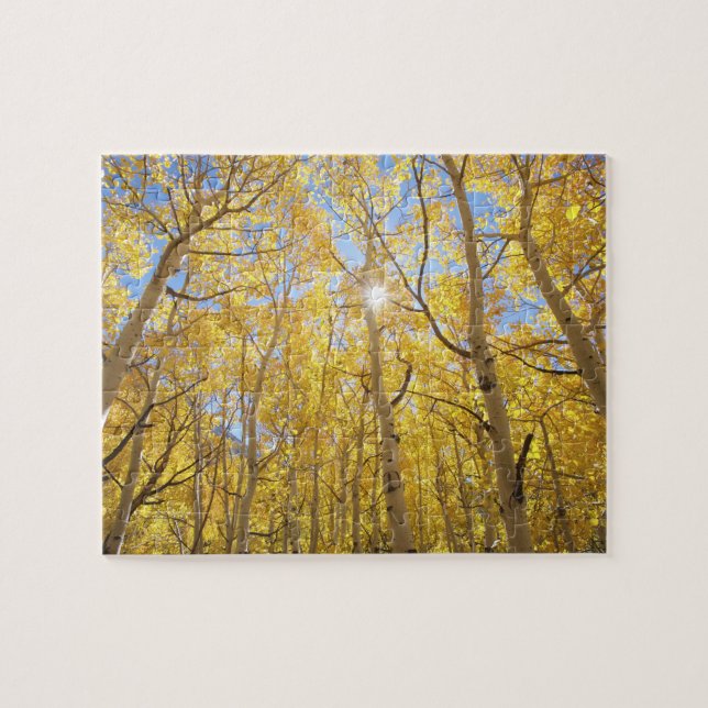 Puzzle EE. UU., California, Montañas de la Sierra Nevada. (Horizontal)
