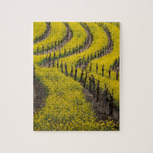 Puzzle EE.UU., California, Napa Valley, Los Carneros Ava.