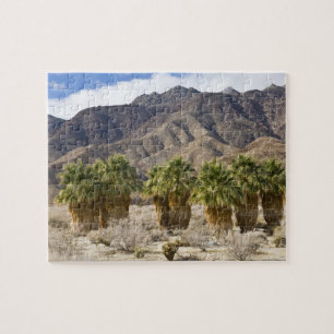 Puzzle EE. UU., California, Parque Estatal del Desierto d