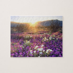 Puzzle EE. UU., California, Parque Estatal Desierto de An