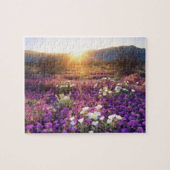 Puzzle EE. UU., California, Parque Estatal Desierto de An (Horizontal)