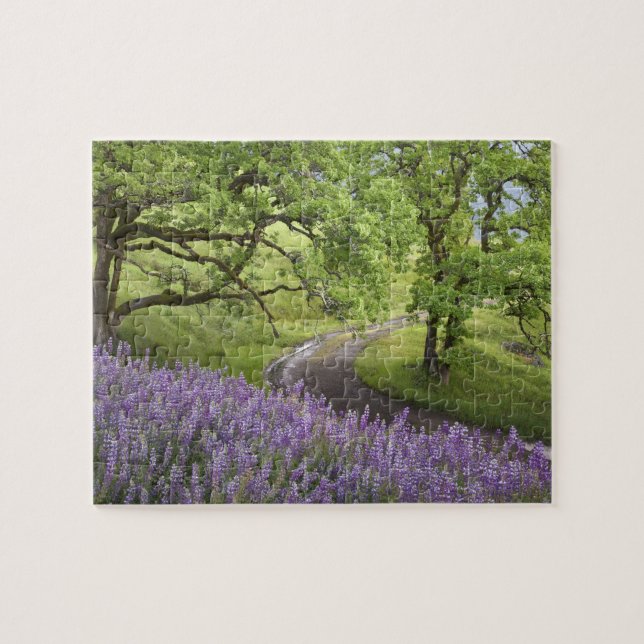 Puzzle EE.UU., California, Parque Nacional Redwood. Sucie (Horizontal)