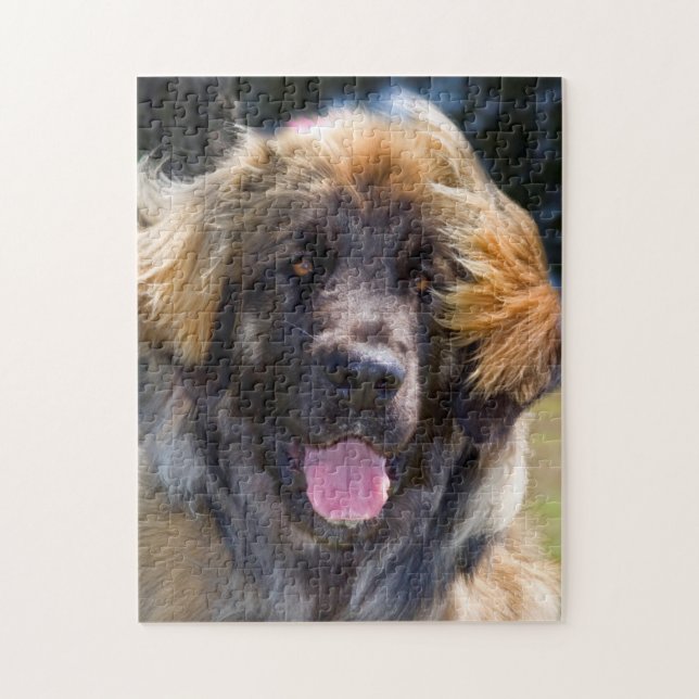 Puzzle EE.UU., California. Retrato De Leonberger Sitting (Vertical)