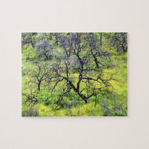 Puzzle EE. UU., California, San Diego. Un bosque de roble