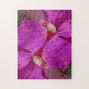 Puzzle EE. UU., Colorado, Boulder. Montaje de flores de c