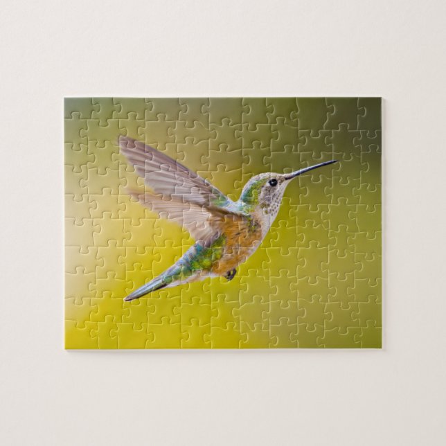 Puzzle EE. UU., Colorado, condado de Summit, Heeney. Vist (Horizontal)