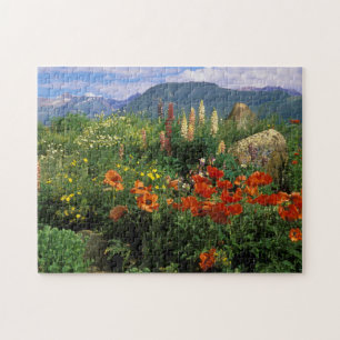 Puzzle EE. UU., Colorado, Crested Butte. Amapolas y lupin
