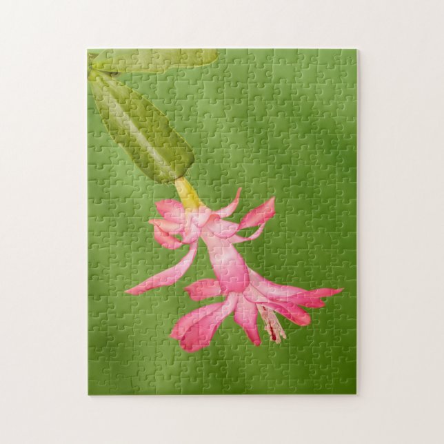 Puzzle EE. UU., Colorado, Lafayette. Cactus de Navidad (Vertical)