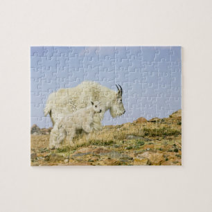 Puzzle EE. UU., Colorado, Montañas Rocosas, Monte Evans,