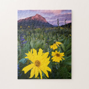 Puzzle EE. UU., Colorado, Mt. Crested Butte