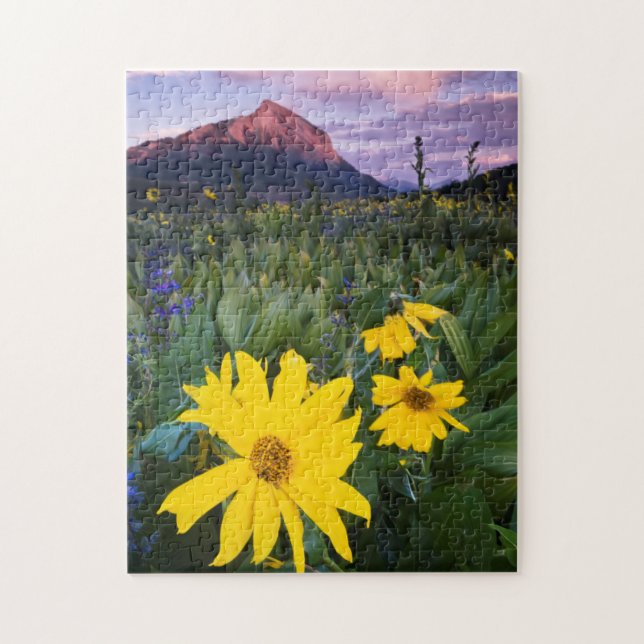 Puzzle EE. UU., Colorado, Mt. Crested Butte (Vertical)