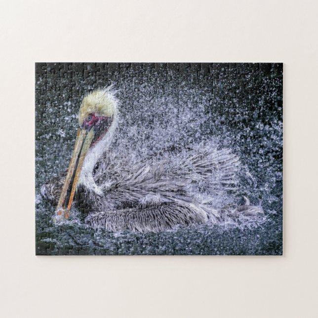 Puzzle EE.UU., Florida. Brown Pelican (Horizontal)