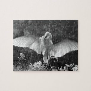 Puzzle EE. UU., Florida, Gran Garza (Ardea alba) infrarro