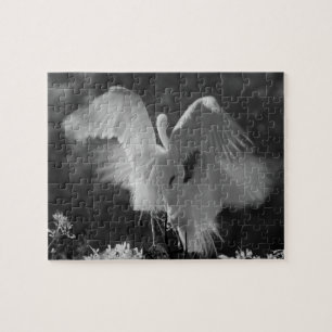 Puzzle EE. UU., Florida, Gran Garza Blanca (Ardea alba) i