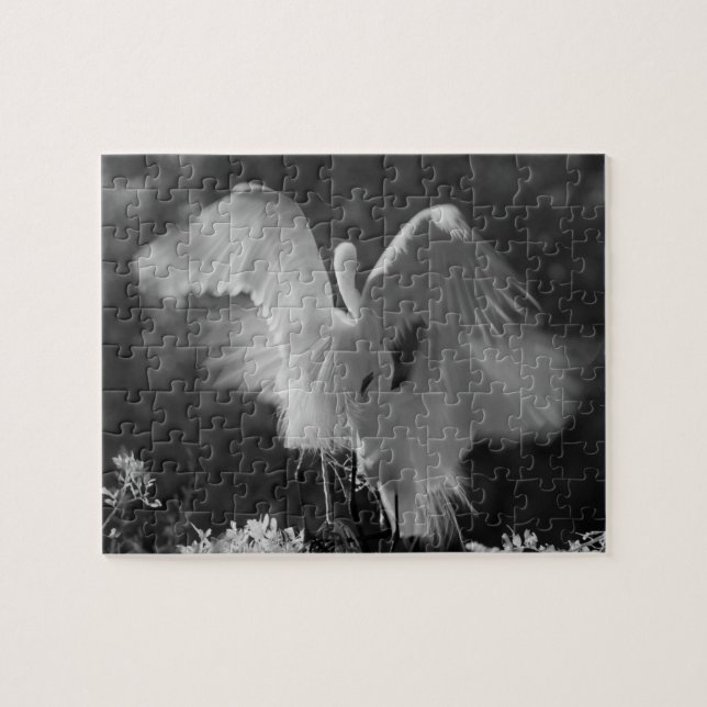 Puzzle EE. UU., Florida, Gran Garza Blanca (Ardea alba) i (Horizontal)