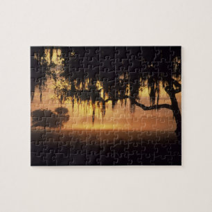 Puzzle EE. UU., Florida, lago Kissimmee. Silueta al amane