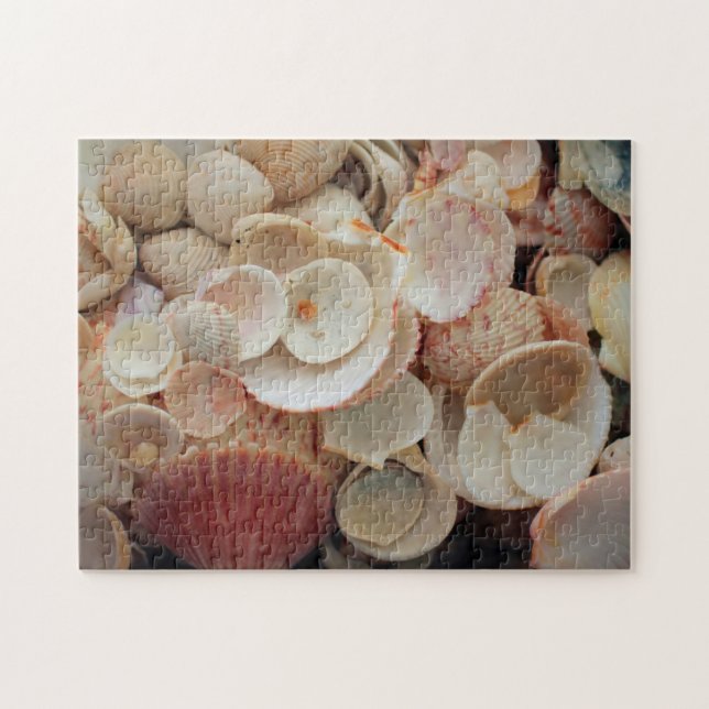 Puzzle EE. UU., Florida. Primer plano de conchas en Santa (Horizontal)