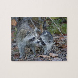 Puzzle EE. UU., Florida, Sanibel, Ding Darling Nacional