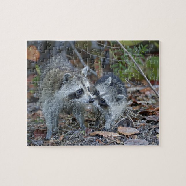 Puzzle EE. UU., Florida, Sanibel, Ding Darling Nacional (Horizontal)
