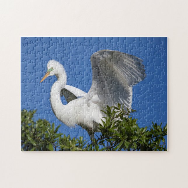Puzzle EE. UU., Florida, St. Augustine, Garza (Horizontal)