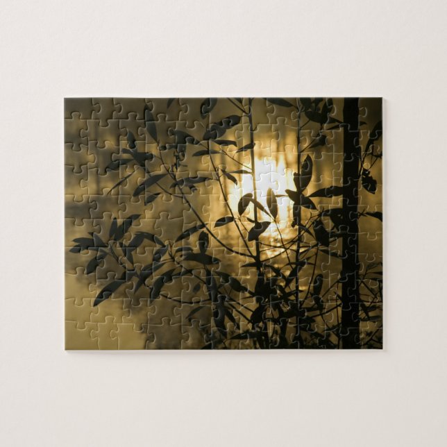 Puzzle EE. UU., Georgia, Callaway Gardens, Amanecer (Horizontal)
