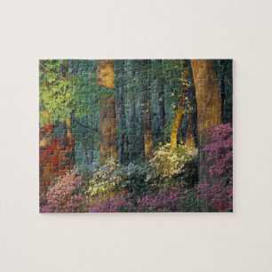 Puzzle EE. UU., Georgia, Callaway Gardens, bosque de Azal