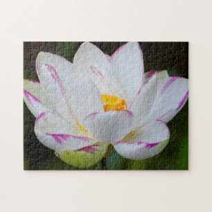 Puzzle EE. UU., Georgia, Savannah, Flor de Loto en Florac