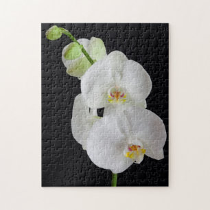 Puzzle EE. UU., Georgia, Savannah, grupo de orquídeas
